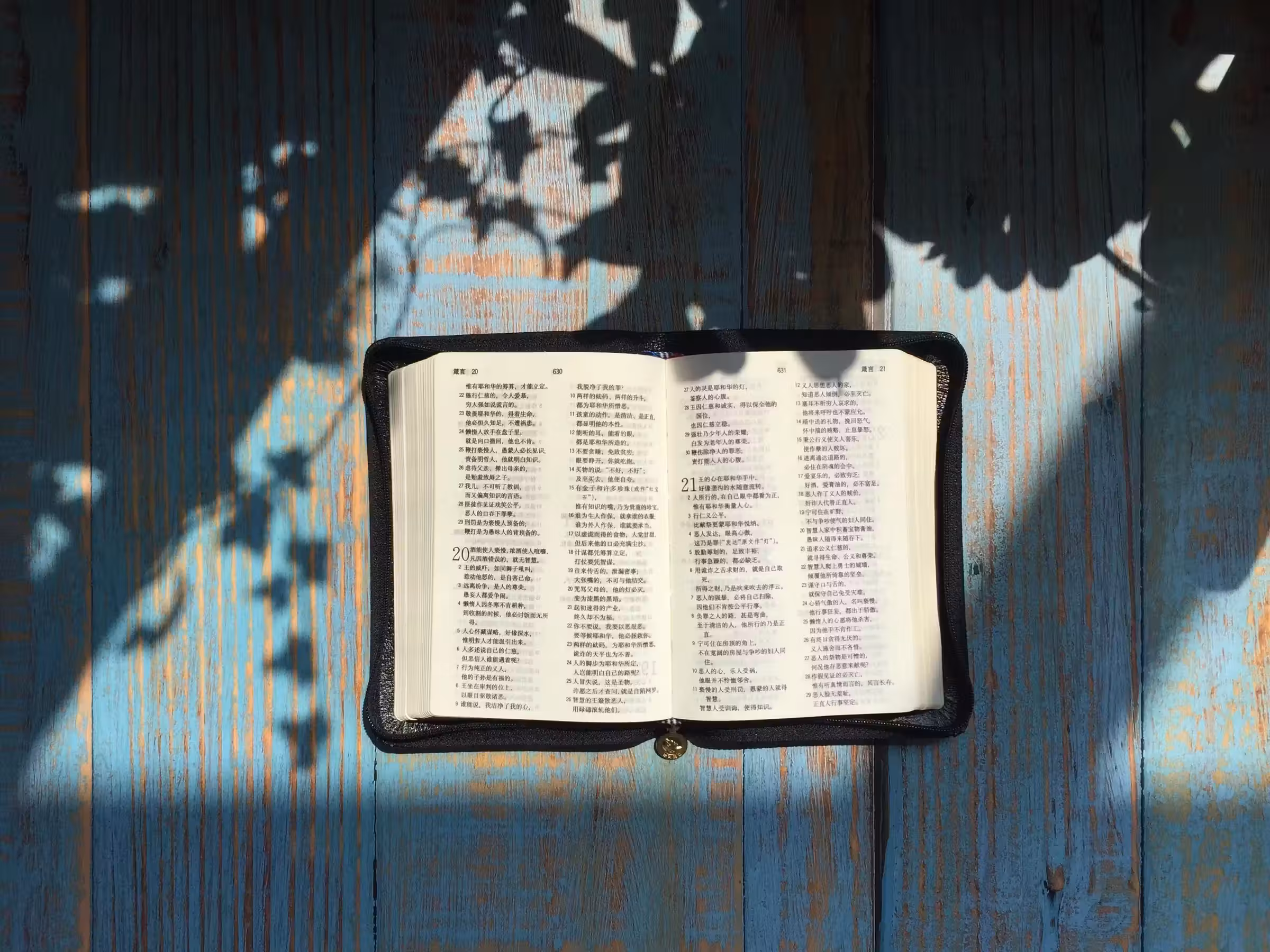Why Are There Different Versions of the Bible?